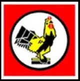 ASISTEN MANAGER DISTRIBUSI BEBEROOSIE