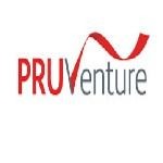 Pruventure Senior Associate , tersedia melalui melalui situs Jobstreet