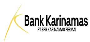 Staff IT at PT BPR Karinamas Permai