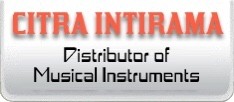 Mechanical  Electrical Engineer at PT Citra Intirama