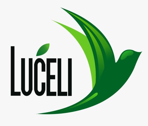 Staff Administrasi at PT Luceli Pangan Indonesia