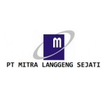 Junior Frontend Developer at PT Mitra Langgeng Sejati