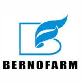 Site Engineer Struktur