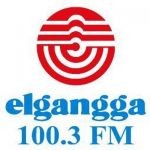 Account Executive AE PT Radio Elgangga di Bekasi