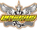 HRD Manager Pegasus RC  Hobby Shop di Bandung Kota