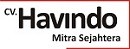 Sales Representative Cv. Havindo Mitra Sejahtera di Jakarta Selatan