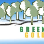 Sales Marketing Proyek PT Green Gold Trans  Trade di Jakarta Barat
