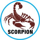 Dokter Hewan Yayasan Scorpion Indonesia di Sumatera Utara