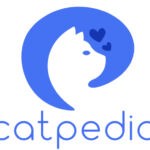 Paramedik  Perawat Kucing Catpedia di Bandung Kota