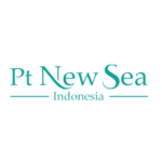 Video Editor PT New Sea Indonesia di Jakarta Pusat